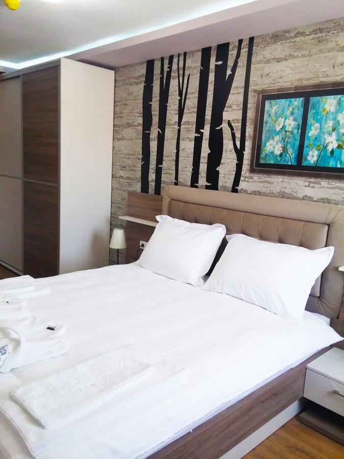Hotel Ana Lux Spa Pirot Exterior foto